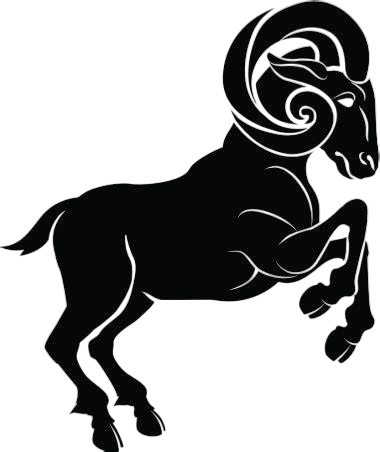 Famosos e capricornianos