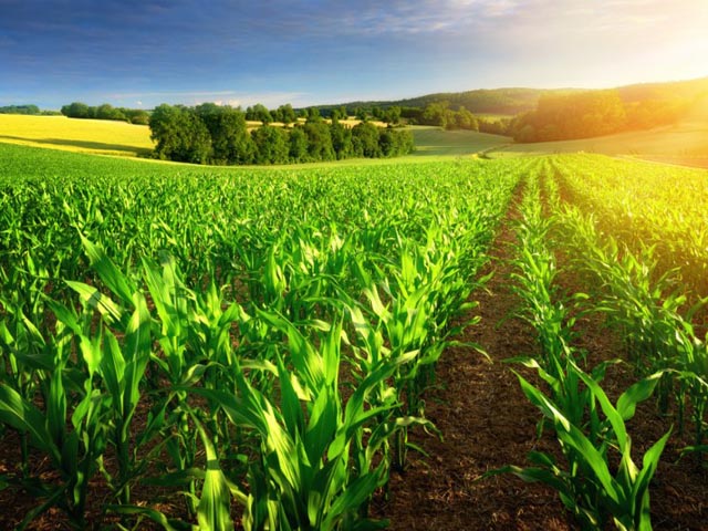 Seguro Rural pagou R$ 5,95 milhões em subvenções no Paraná, em 2023