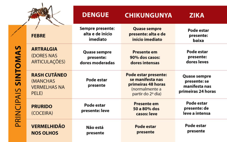 Dengue, chikungunya e zika no Brasil