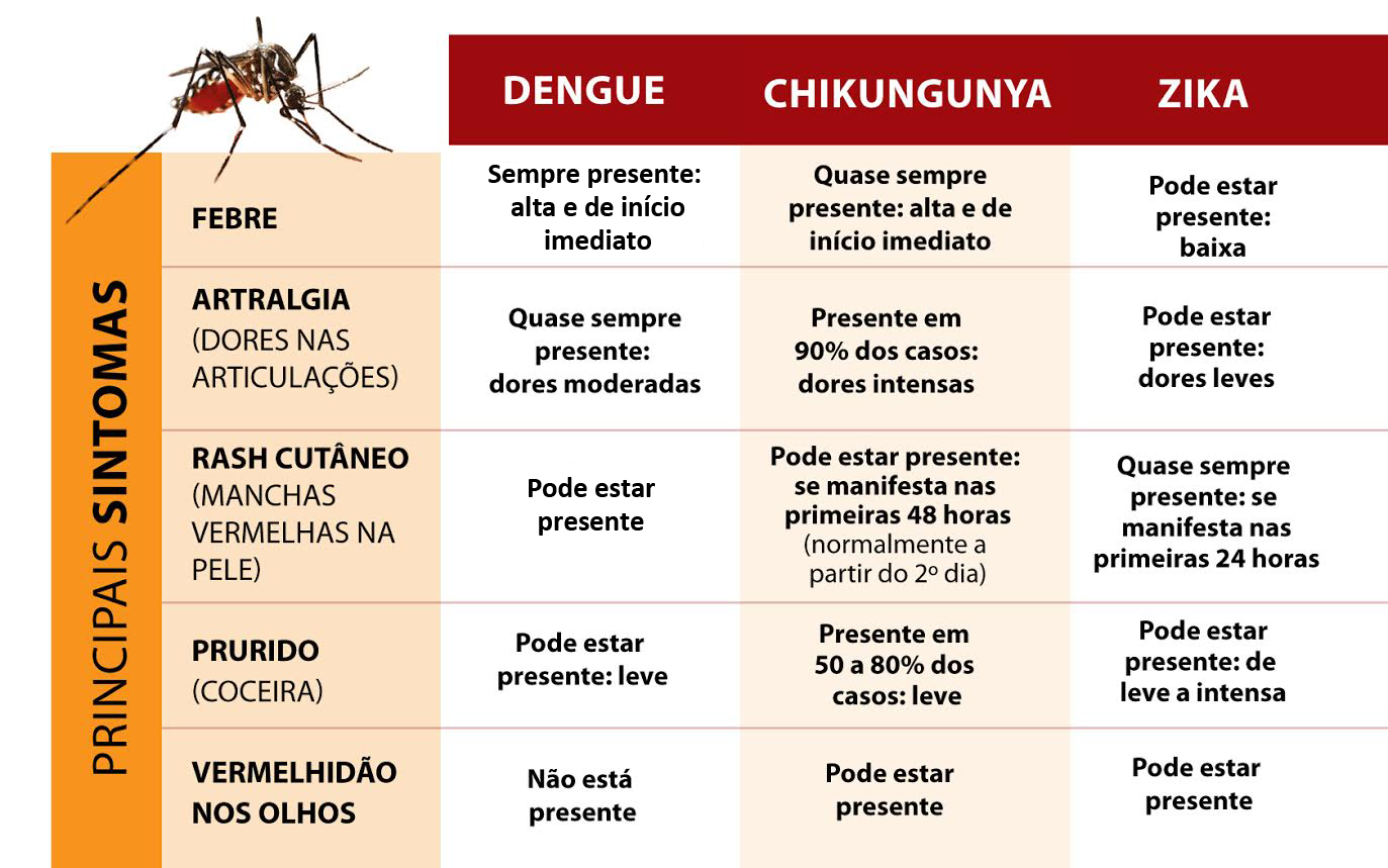 Dengue, chikungunya e zika no Brasil