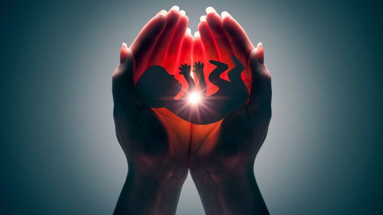 PL do aborto já tem o apoio de 56 deputados