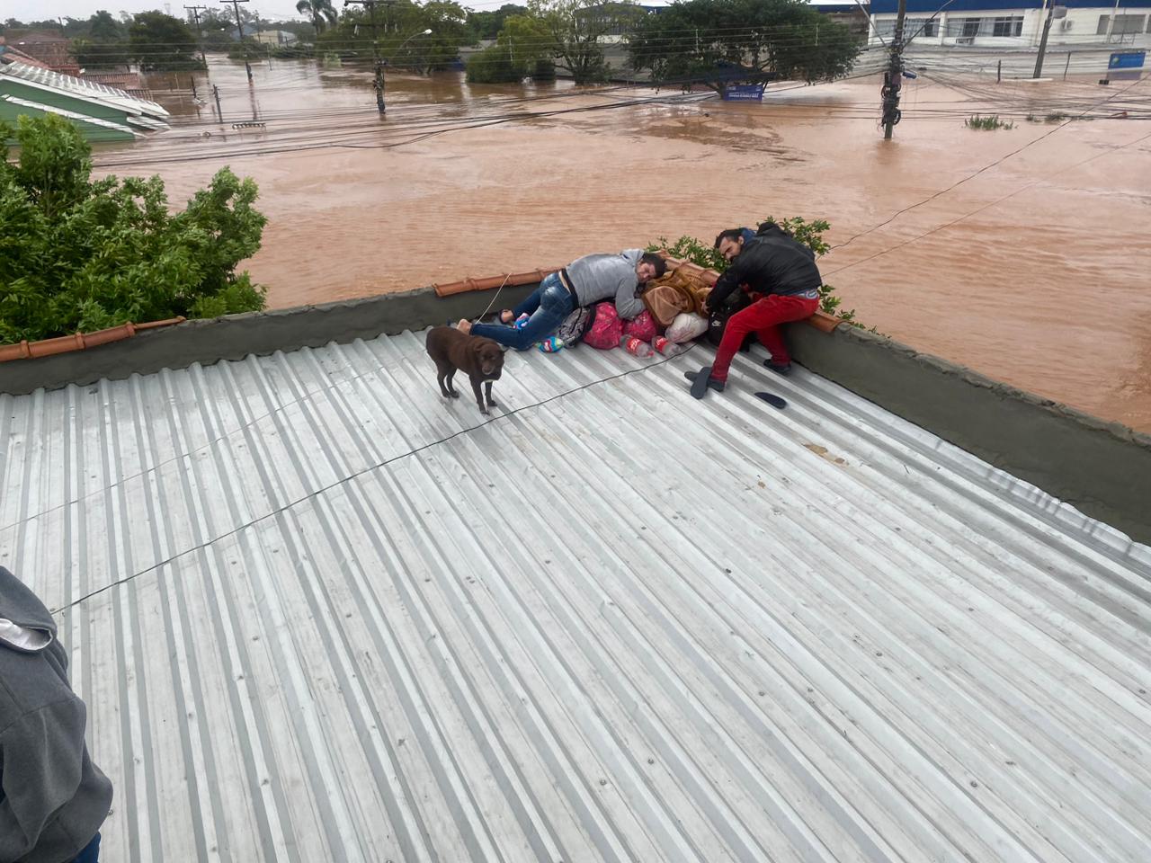 Nota de Esclarecimento: transporte de doações para o Rio Grande do Sul