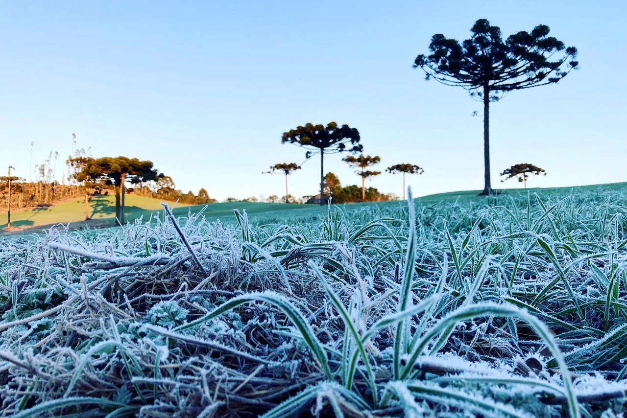 O Paraná registrou nesta terça-feira (13) o dia mais frio de 2024, com -5,3°C em General Carneiro, além de sensação térmica de -9,2°C.
