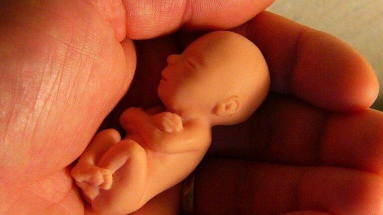 Lei do aborto: estuprador poderá ter pena menor que a vítima se ela abortar