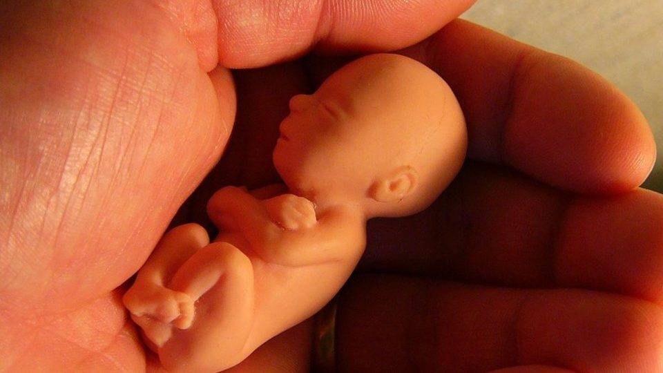 Lei do aborto: estuprador poderá ter pena menor que a vítima se ela abortar