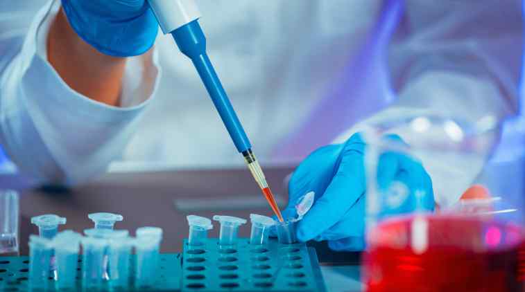 Exame antidrogas poderá ser obrigatório para professores e a mandatos eletivos