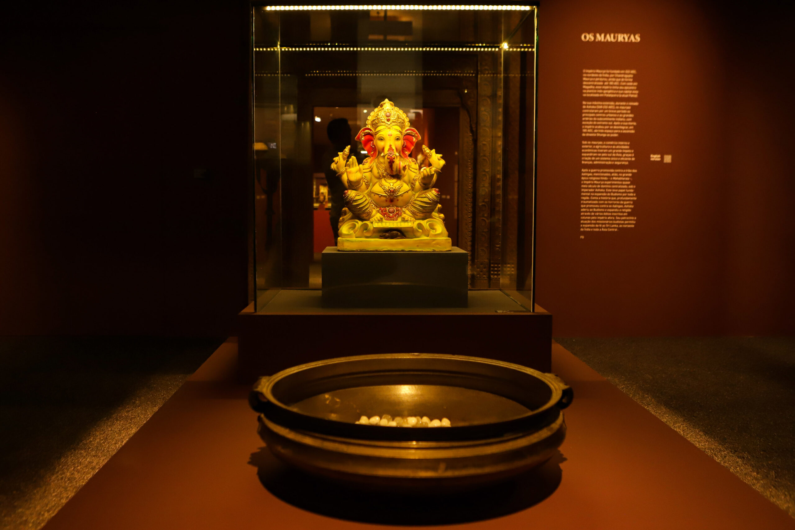 MON renova exposição asiática