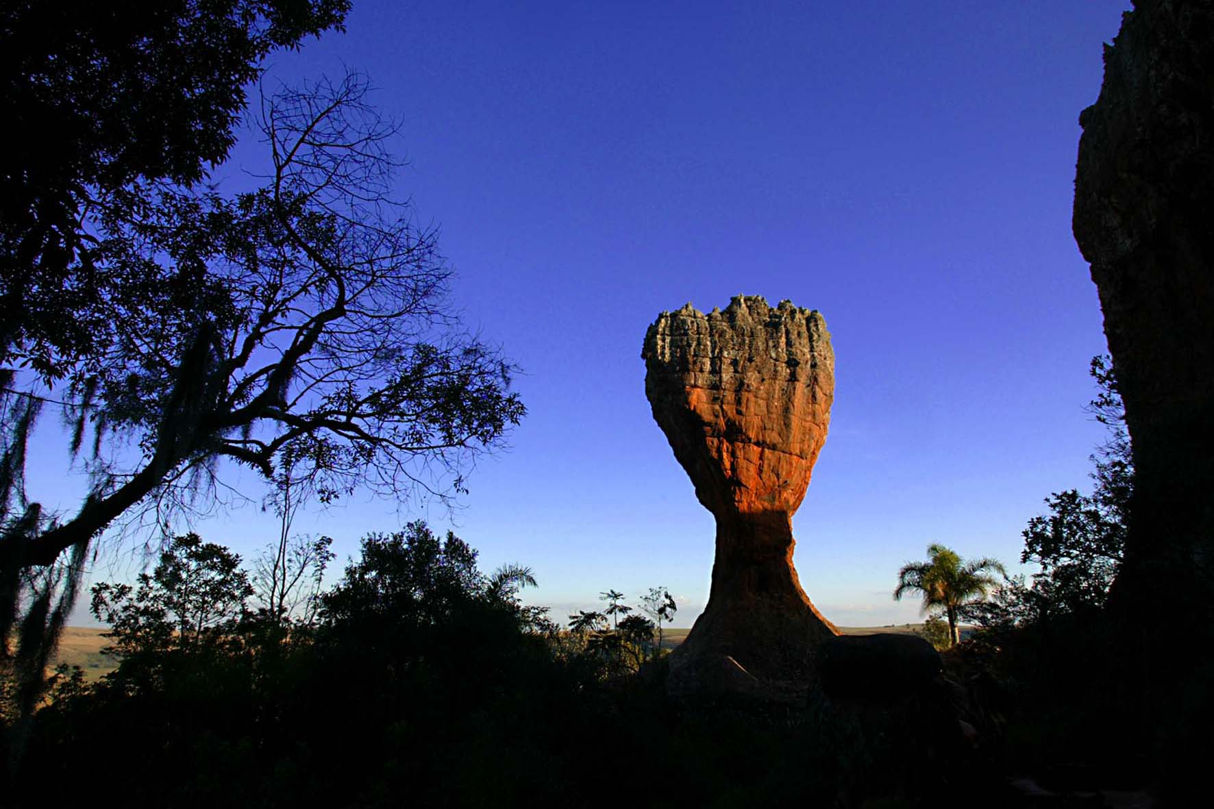 Parques abertos: turismo paranaense no feriadão