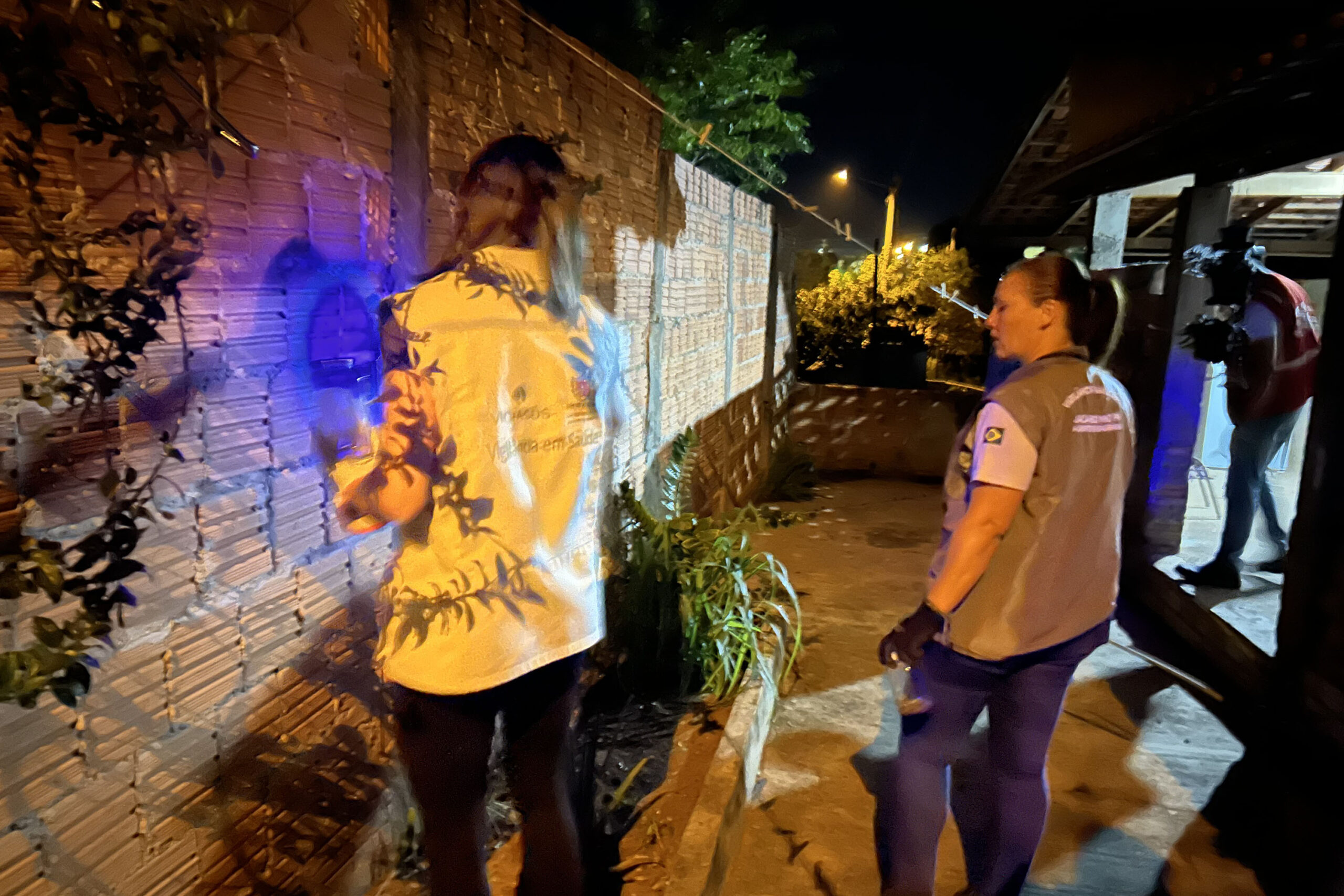 Ações noturnas resultam na captura de 3,3 mil escorpiões na região de Jacarezinho