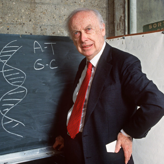 PARIS, FRANCE - APRIL 23: Picture taken 23 April 1993 in Paris of American geneticist James Dewey Watson in front of a blackboard, explaining his work to discover the molecular structure on DNA for which he shared the 1962 Physiology and Medicine Nobel Prize with British Francis Crick and Maurice Wilkins. James Dewey Watson, one of the most important researchers in field of genetics, was born 06 April 1928 in Chicago, Ill. In 1950, Watson joined Cavendish Laboratories where many others important people were trying to determine the makeup of DNA. It was Watson and Crick who made the next big discovery. They proposed that DNA was a winding helix in which pairs of bases held the srands together. This model of DNA double helix became an important item of reserch in the areas of Biochemistry and Molecular Genetics. AFP PHOTO DANIEL MORDZINSKI (Photo credit should read DANIEL MORDZINSKI/AFP/Getty Images)