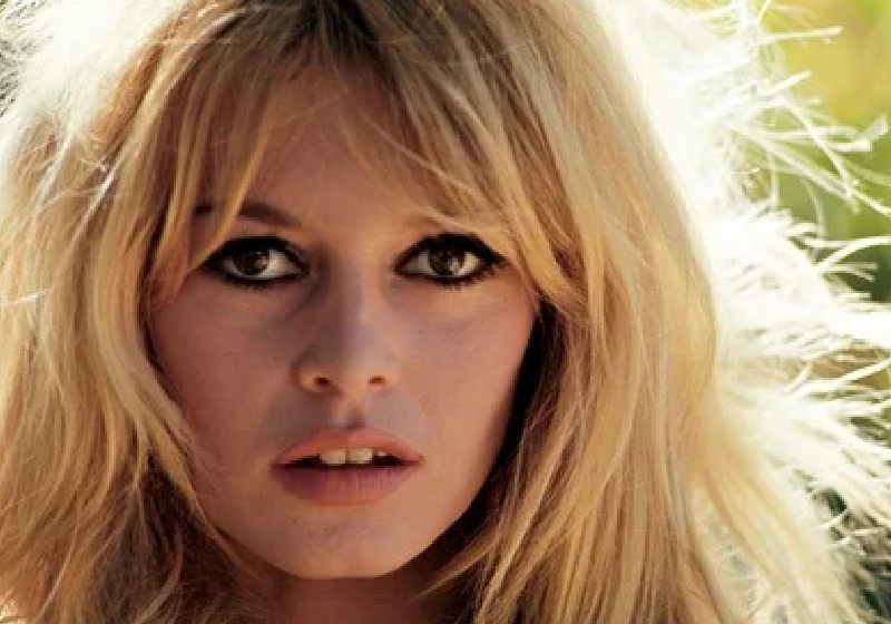 Brigitte Bardot: adeus à eterna estrela francesa