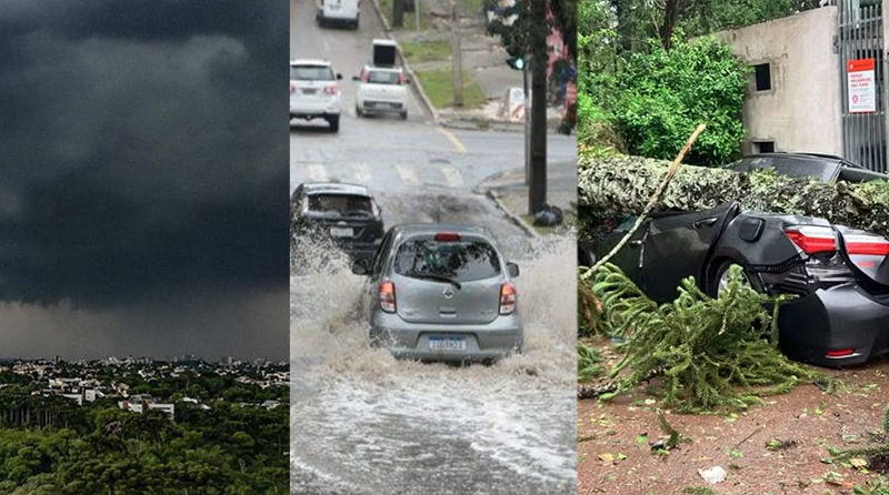Tempestade causa estragos em Curitiba e deixa Paraná em alerta